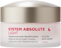 ANNEMARIE BÖRLIND System Absolute Regenerierende Nachtcreme light